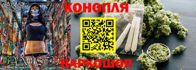 гидра Кингисепп