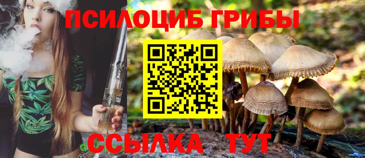 Галлюциногенные грибы GOLDEN TEACHER  Вход с VPN  Керчь 